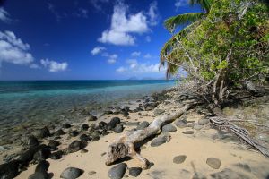 Vue sur la c&ocirc;te sud de la Martinique