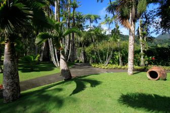 Jardin botanique de Balata