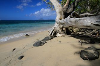 Pointe Borgn&egrave;se